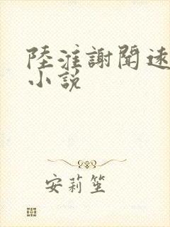陆淮谢闻远乔笙小说