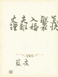 丈夫入狱怎么办理离婚最快的方法