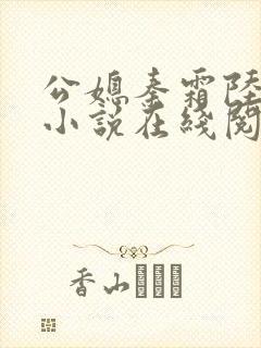 公媳秦霜陆贞康小说在线阅读