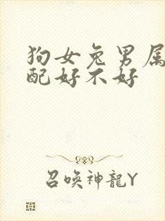 狗女兔男属相婚配好不好