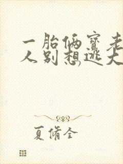 一胎俩宝老婆大人别想逃大结局