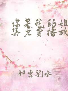 你是我的姐妹全集免费播放电视剧