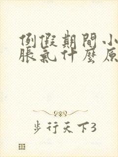 例假期间小肚子胀气什么原因