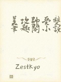 美攻帅受双男主笔趣阁小说免费阅读