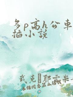 多p高h公车双插小说