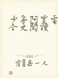 少年阿宾电子书全文阅读