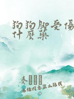 狗狗脚受伤了用什么药