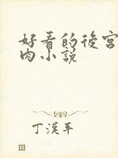 好看的后宫文有肉小说