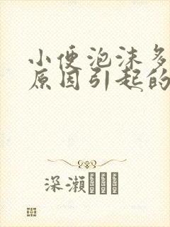 小便泡沫多什么原因引起的