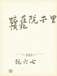 蛇在院子里什么预兆