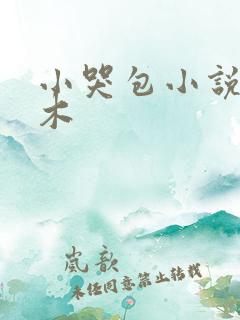 小哭包小说夕夕木
