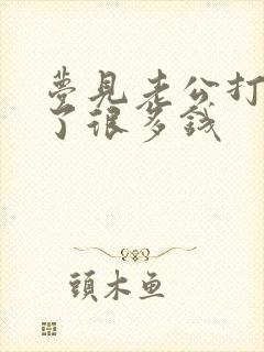 梦见老公打牌输了很多钱