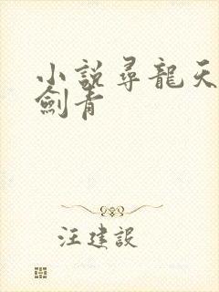 小说寻龙天师皮剑青