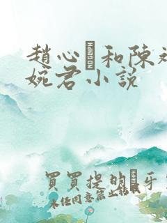 赵心睸和陈斌高婉君小说