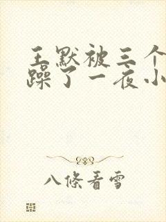 王默被三个男人躁了一夜小说