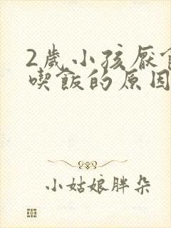 2岁小孩厌食不吃饭的原因