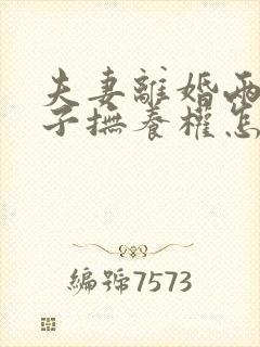 夫妻离婚两个孩子抚养权怎么判定