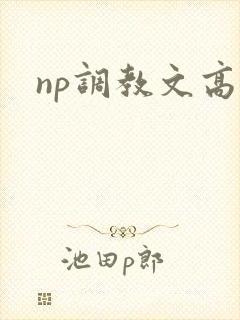 np调教文高h
