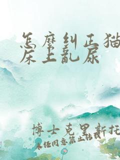 怎么纠正猫咪在床上乱尿