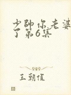 少帅你老婆又跑了第6集