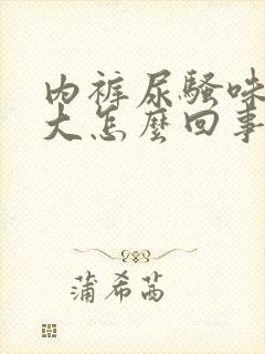 内裤尿骚味特别大怎么回事