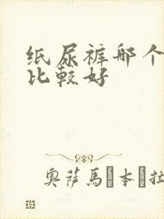 纸尿裤哪个牌子比较好