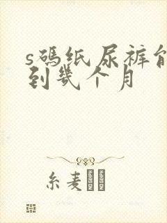 s码纸尿裤能穿到几个月