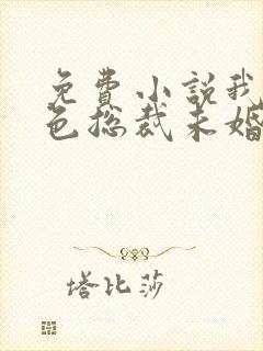 免费小说我的绝色总裁未婚妻