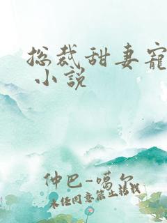 总裁甜妻宠上瘾 小说