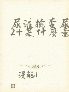 尿液检查尿隐血2+是什么意思