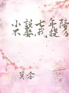 小说七年陪伴你不娶,我提分手你别疯啊