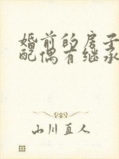 婚前的房子再婚配偶有继承权吗