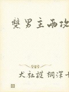 双男主两攻一受