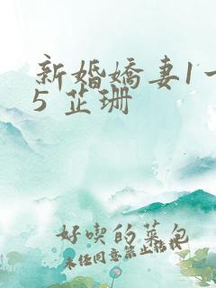 新婚娇妻1一25 芷珊
