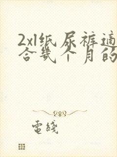 2xl纸尿裤适合几个月的宝宝