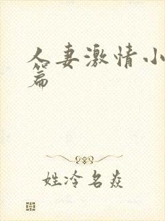 人妻激情小说短篇