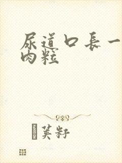 尿道口长一堆小肉粒