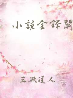 小说金锋关晓柔