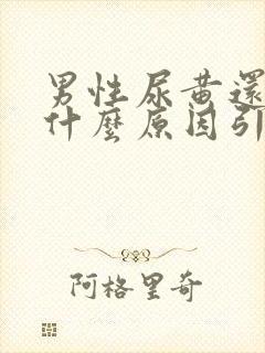 男性尿黄还疼是什么原因引起的