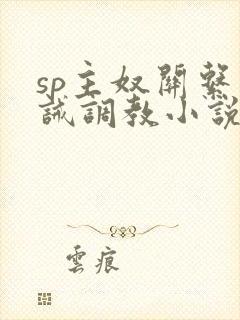 sp主奴关系训诫调教小说, 家奴