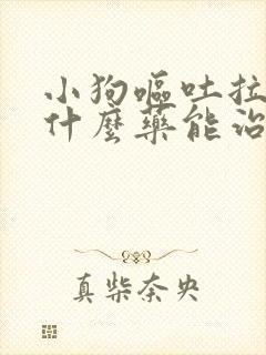 小狗呕吐拉稀吃什么药能治好