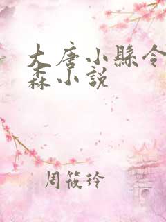 大唐小县令田小森小说