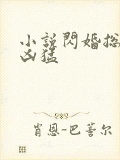 小说闪婚总裁太凶猛