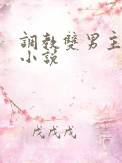 调教双男主双性小说