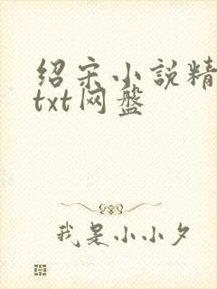 绍宋小说精校版txt网盘