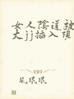 女人阴道被男人大jj插入视频