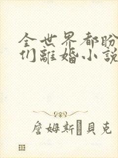 全世界都盼着我们离婚小说观看