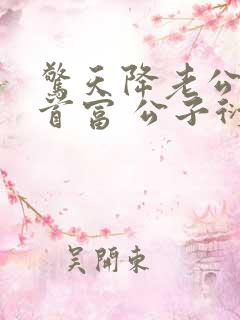 惊天降老公竟是首富 公子衍 在线阅读