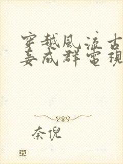 穿越风流古代妻妾成群电视剧