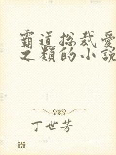 霸道总裁爱上我之类的小说名字